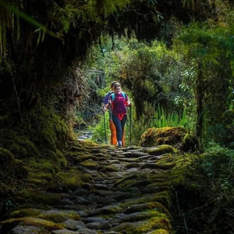 Sobre el Camino Inca desde República Dominicana