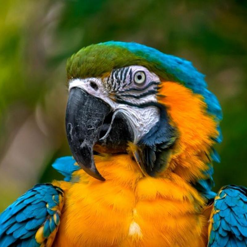 Naturaleza y ecoturismo desde República Dominicana