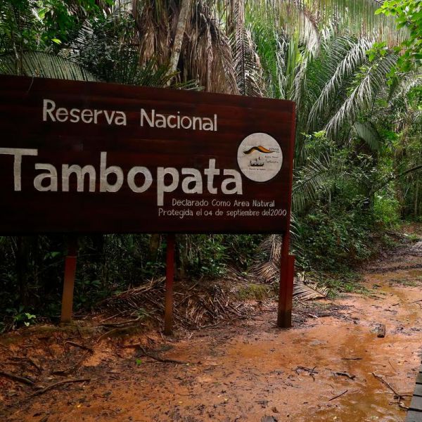 Tours en Tambopata desde República Dominicana
