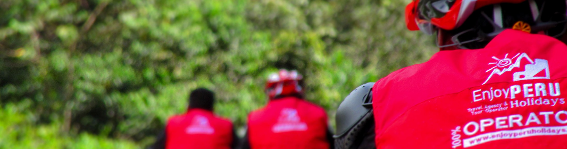 Sobre Nosotros desde República Dominicana