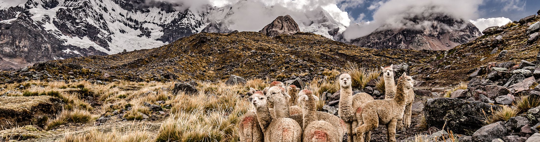 Machu Picchu 8D7N Viajero (Full Aventura Tendencia) desde República Dominicana