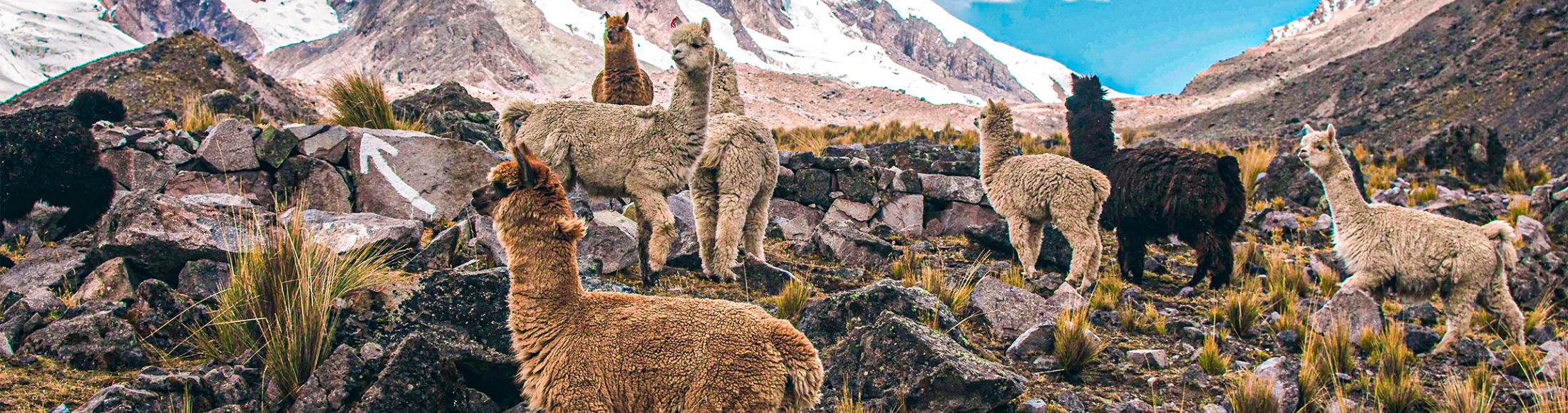 Machu Picchu 4D3N Viajero (Cultural Aventura Tendencia) desde República Dominicana