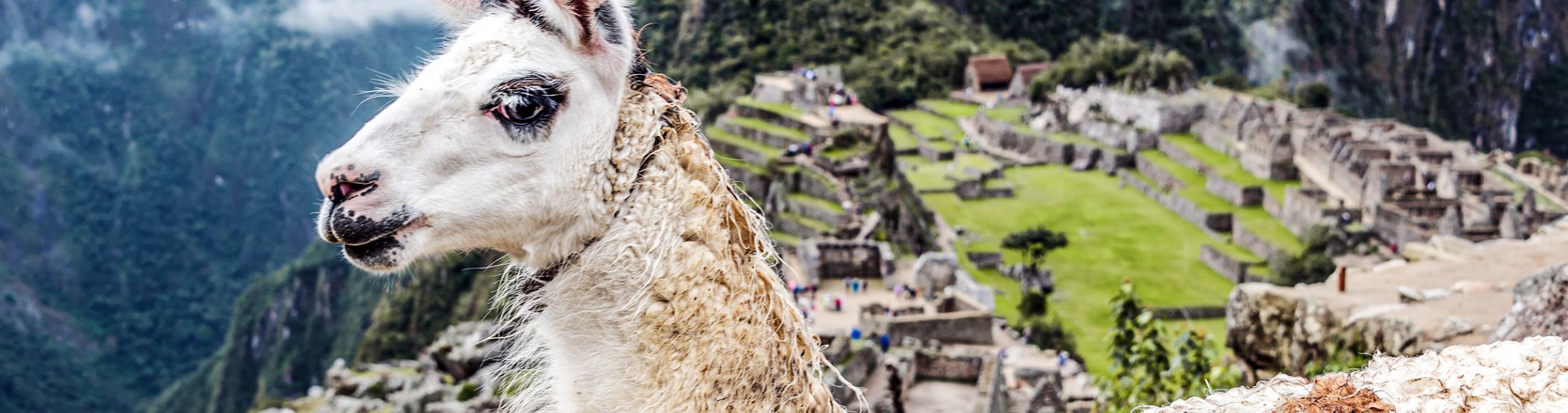 Machu Picchu 8D7N Viajero (Full Cultural) desde República Dominicana