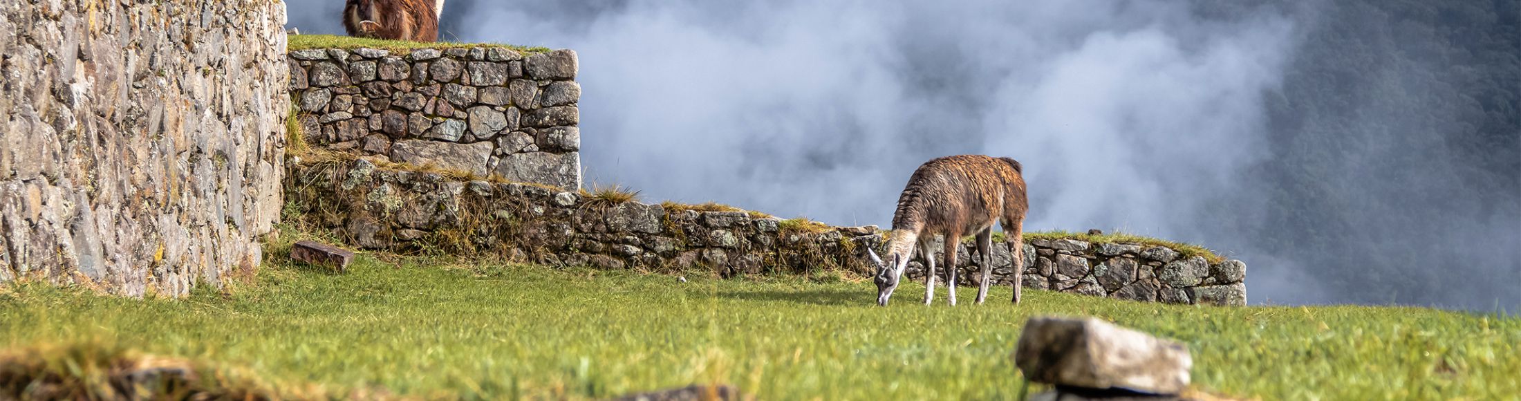 Machu Picchu 4D3N Viajero (Cultural Aventura) desde República Dominicana
